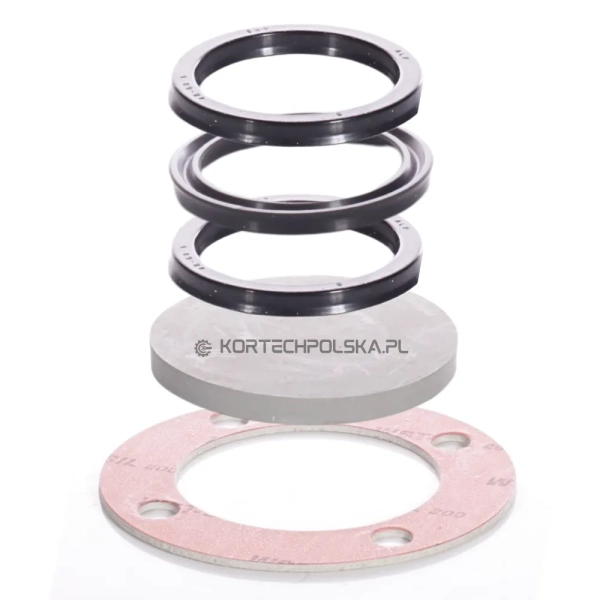 zestaw naprawczy rms 2000 membrana clemco kortechpolska (5).webp