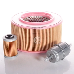 zestaw filtrów HATZ 1D81