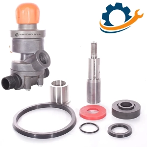 Zestaw naprawczy do zaworu Thompson
